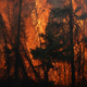 A photo taken of flames engulfing the trees along a highway near Fort McMurray, Alberta, on May 6, 2016.